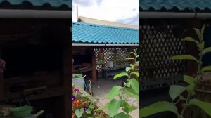 Снять дом для отдыха в рощино