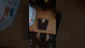 Лудоман Сергей Бестов показал свои апартаменты ...