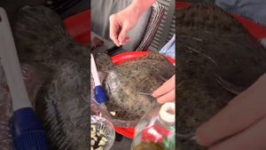 Готовим Рыбу. Палтус на углях. Рыба и мангал.Вкусный Палтус.