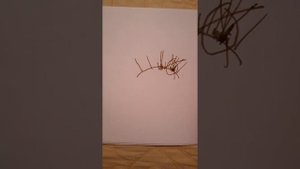 Наращивание ресниц! избегаем склейки!