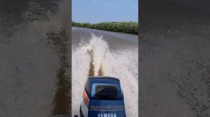 ЯМАХА 15( 9) л.с. ходовые испытания на воде.