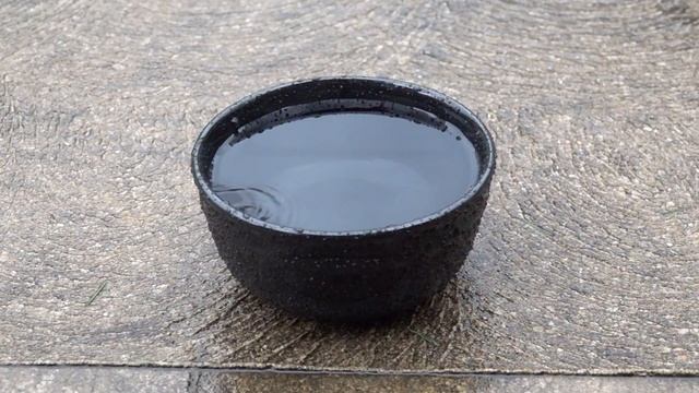 Права животных в исламе/ Первая часть: Право на уважение смотреть онлайн