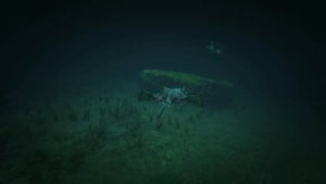 ПАСХАЛКА GTA 5 - ПРЕВРАЩЕНИЕ В АКУЛУ.