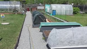 ОБЗОР ДАЧНОГО УЧАСТКА И ТЕПЛИЦЫ/ 17.05.2023 г.