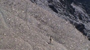 дагестанский тур (рутульский район)