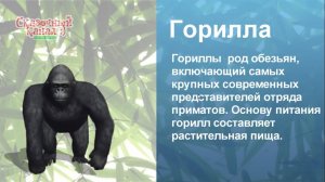 Изучаем слова. Животные и предметы в 3D. Learning 3d world.