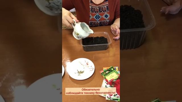 Дистанционное занятие по внеурочной деятельности " Школа добрых дел". 3 класс смотреть онлайн