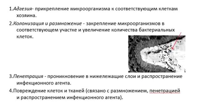 Лекция 