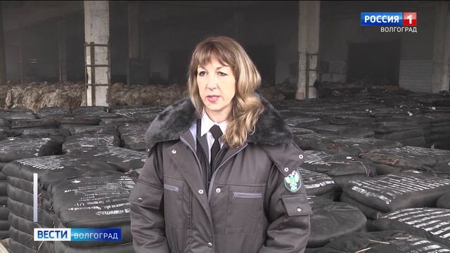 Экспортеры шерсти – под контролем Россельхознадзора смотреть онлайн