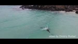 Galapagos Islands. Галапагосские острова