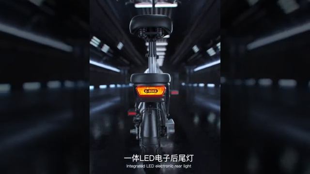 United States G force chainless electric folding bicycle on behalf of the driving shaft drive смотреть онлайн