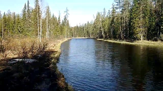 Засолка хариуса. смотреть онлайн