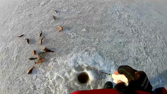 Ловля окуня на блесну торпедка 39 мм смотреть онлайн