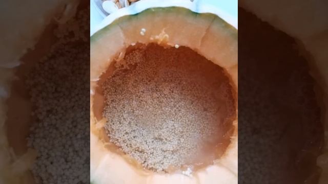 Пшенная каша в тыкве. Пшенка с тыквой смотреть онлайн