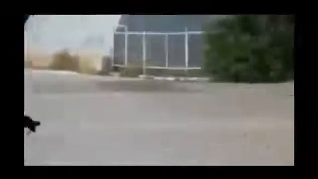 Видео Подборка Приколов с Животными 6 Кошки,Собаки Смешные Животные Видео о самом интересном! смотреть онлайн