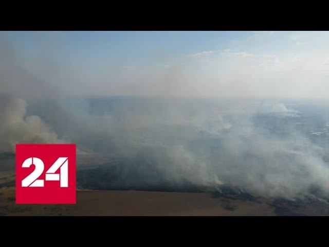 Новости. Лесные пожары взяли в кольцо село в Новосибирской области - Россия 24 