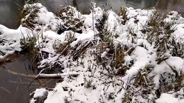 Я думал так не бывает. Художник попал в ДРУГУЮ РЕАЛЬНОСТЬ недалеко от солнечного участка в деревне