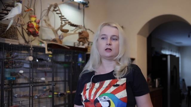 УФ ЛАМПЫ ДЛЯ ПОПУГАЕВ Часть 1