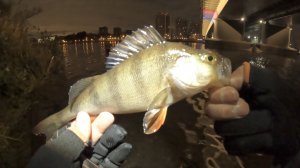 МОРМОНАНОДЖИГ ! Рыбалка на Москва реке ! Ультралайт ! Осень 2022