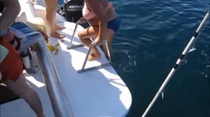 Морская рыбалка в Сочи на яхте и катере тел 89890898081