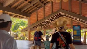 Vietnam Trip!! | Saigon, Phu Quoc, Hanoi and more!🇻🇳