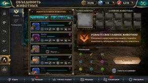 Сундук чемпиона и фантастическая кошка в Wolf Tales