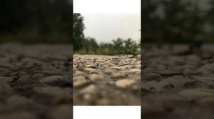 Ламбада - Восточно-арабский ремикс / lambada - Arabic / Russian remix