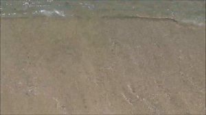 МАЙОРКА #8: Море, пляж, песок, ураааааа! Просто отдыхаем (Paguera, Mallorca)