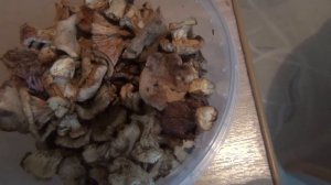 Рецепт икры. Как отделить пленку и как засолить  икру кеты и как посолить икру горбуши. красная икр