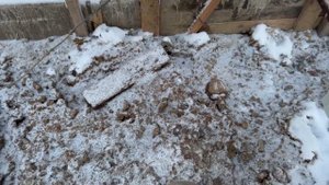 Кессон. Обвязка 5-ти кессонов.