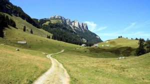 Долг и ответственность.