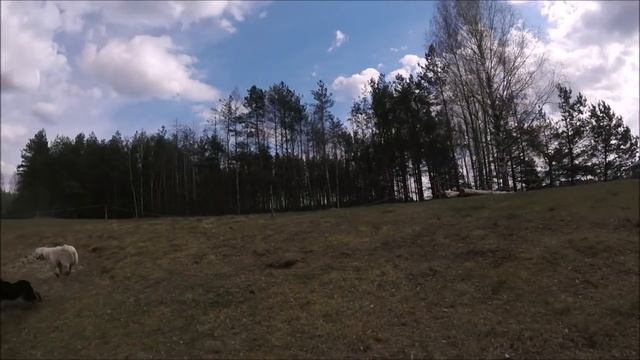 Ответы на вопросы // Жизнь на хуторе смотреть онлайн