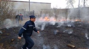 Подожгли сухую траву...