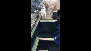 казанка 5м4 tohatsu 40