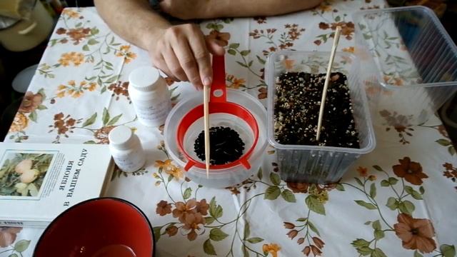 Стратификация семян плодовых культур (часть 2) смотреть онлайн