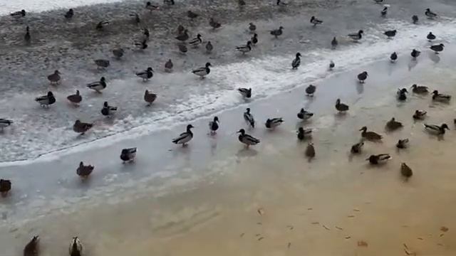 наб- реки Мойки 70 город санкт-петербург смотреть онлайн