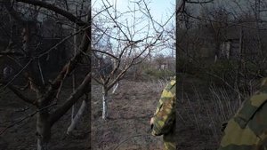 Самодельный опрыскиватель из мотоблока и плунжирного насоса.