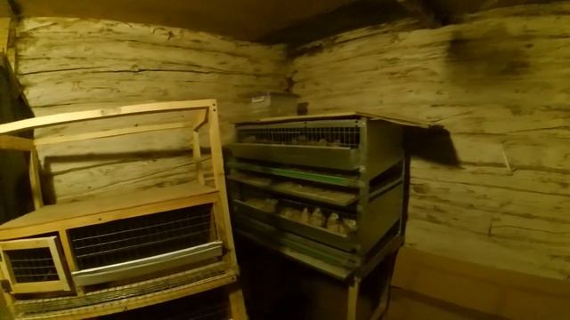 Клетка для перепелов своими руками #2 // Клеточная батарея смотреть онлайн