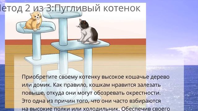 Как успокоить котенка