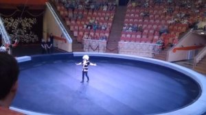 Омский цирк 17 06 2023-Жираф-шоу