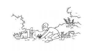 Кот Саймона : в саду