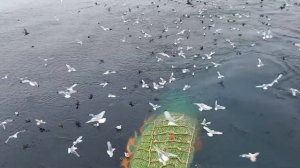 ВЫБОРКА ТРАЛА