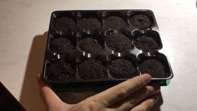 Выращивание перца Carolina Reaper(Каролинский жнец) #1