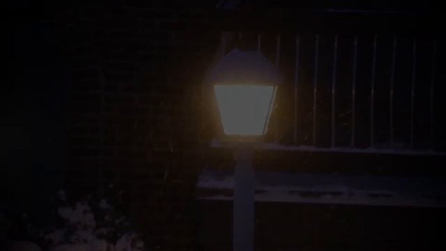 "Памятник Пушкину"  Иосиф Бродский. Читает Свечников Андрей