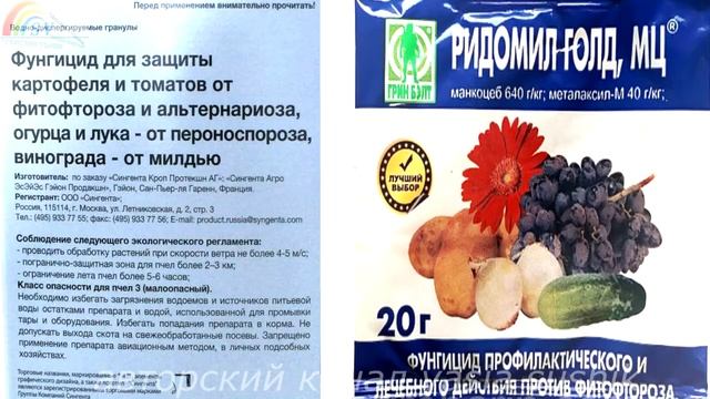 Чем обработать виноград до цветения от болезней и вредителей.Болезни винограда и их лечение