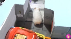 ХОМЯЧКИ в АМОНГ АС** КТО ПРЕДАТЕЛЬ?