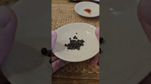На эту насадку клюёт лучше чем на мотыля червя и опарыша. Супер рыболовная насадка зимой