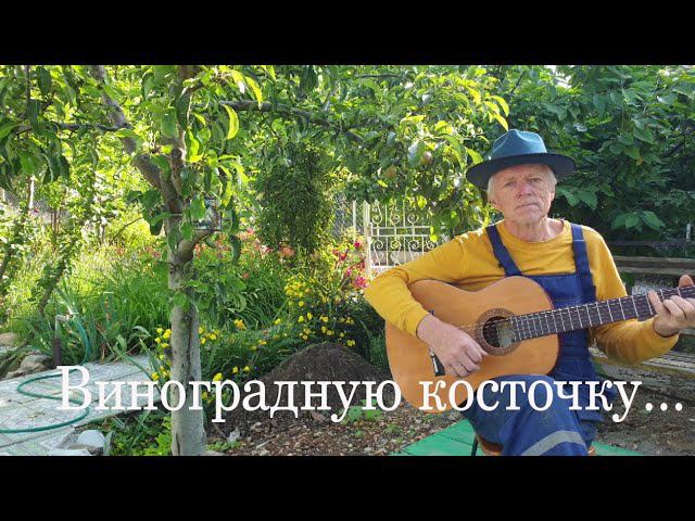 "Грузинская песня" ("Виноградную косточку в тёплую землю зарою..."). Песня Булата Окуджавы