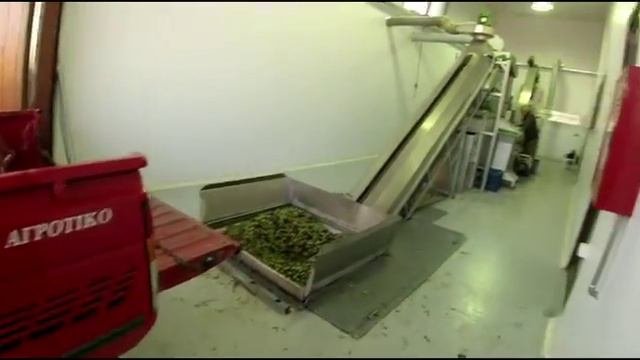Olive oil. Оливковое масло производство. мини обзор. Рубрика болтология