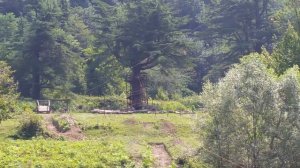 Полет "шмеля" над Абхазией.